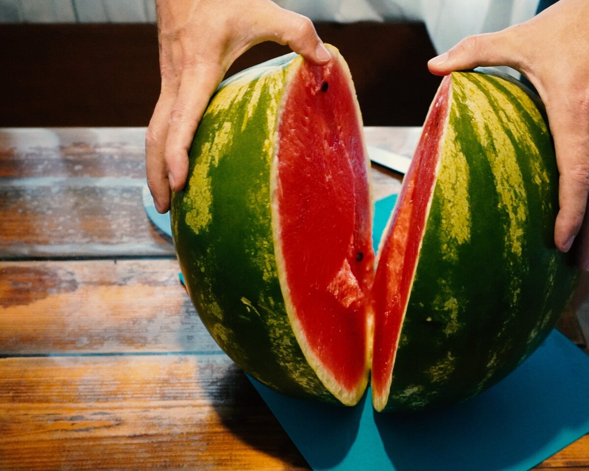 melón