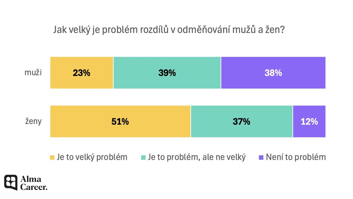 Vnímání gender pay gap