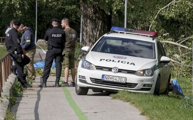 14-ročný Slovák, na ktorého spadol konár, mohol byť nažive. O zlom stave stromu sa vedelo 14-ročný Slovák, na ktorého spadol konár, mohol byť nažive. O zlom stave stromu sa vedelo