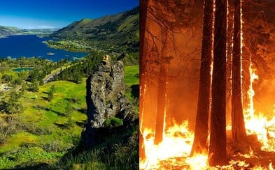 15-ročný tínedžer nechtiac podpálil les, teraz musí zaplatiť 37 miliónov dolárov. Chlapec dostal od súdu exemplárny trest 15-ročný tínedžer nechtiac podpálil les, teraz musí zaplatiť 37 miliónov dolárov. Chlapec dostal od súdu exemplárny trest