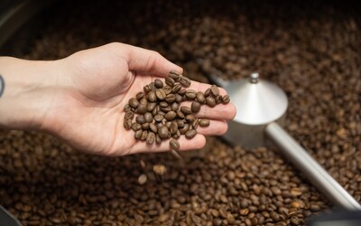 16 zaujímavosti o káve, ktoré zaujmú aj toho, čo kávu nepije 