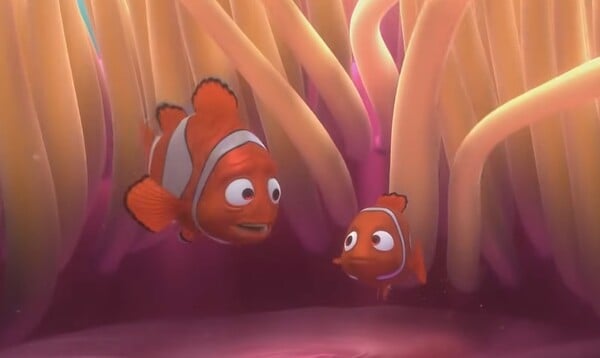 Spomenieš si, čo vo filme Hľadá sa Nemo povedal Bruce o rybách? „Ryby sú priatelia, nie __ .“