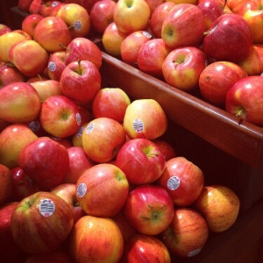 Urči správnu priemernú cenu 1 kg jabĺk