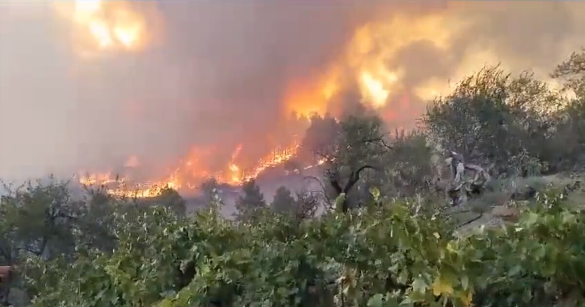 Video: Ostrov La Palma zachvátil lesní požár, hasiči evakuovali tisíce lidí, hoří i na Tenerife