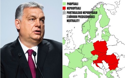 17 krajín Európskej únie podpísalo vyhlásenie odsudzujúce Orbánov anti-LGBT zákon. Slovensko nie