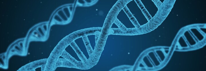 DNA afrického kmene se neshoduje se žádným známým lidským předkem. Vědci zkoumají původ genetiky duchů