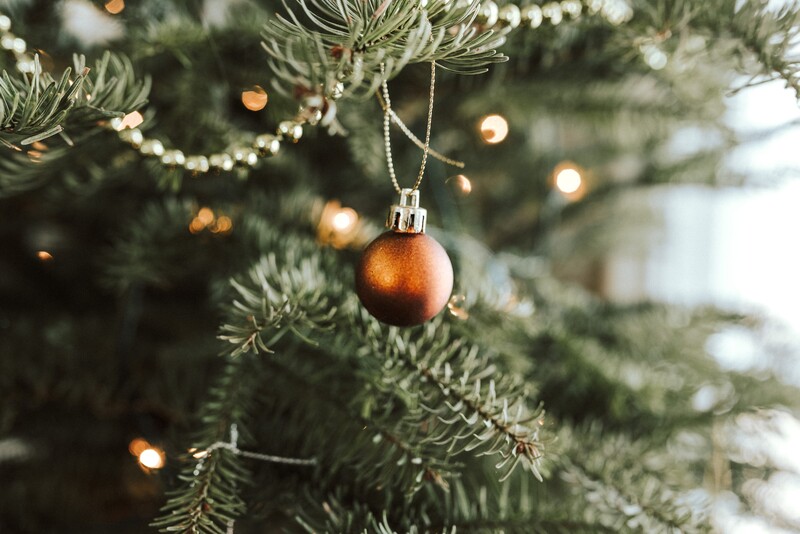 Ak nechceš, aby zo živého vianočného stromčeka začalo po niekoľkých dňoch opadávať ihličie: