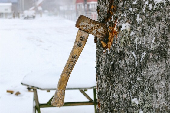 Než naši předkové usedli ke štědrovečerní tabuli, museli bosou nohou nejprve stoupnout na sekeru položenou na zem. Proč?