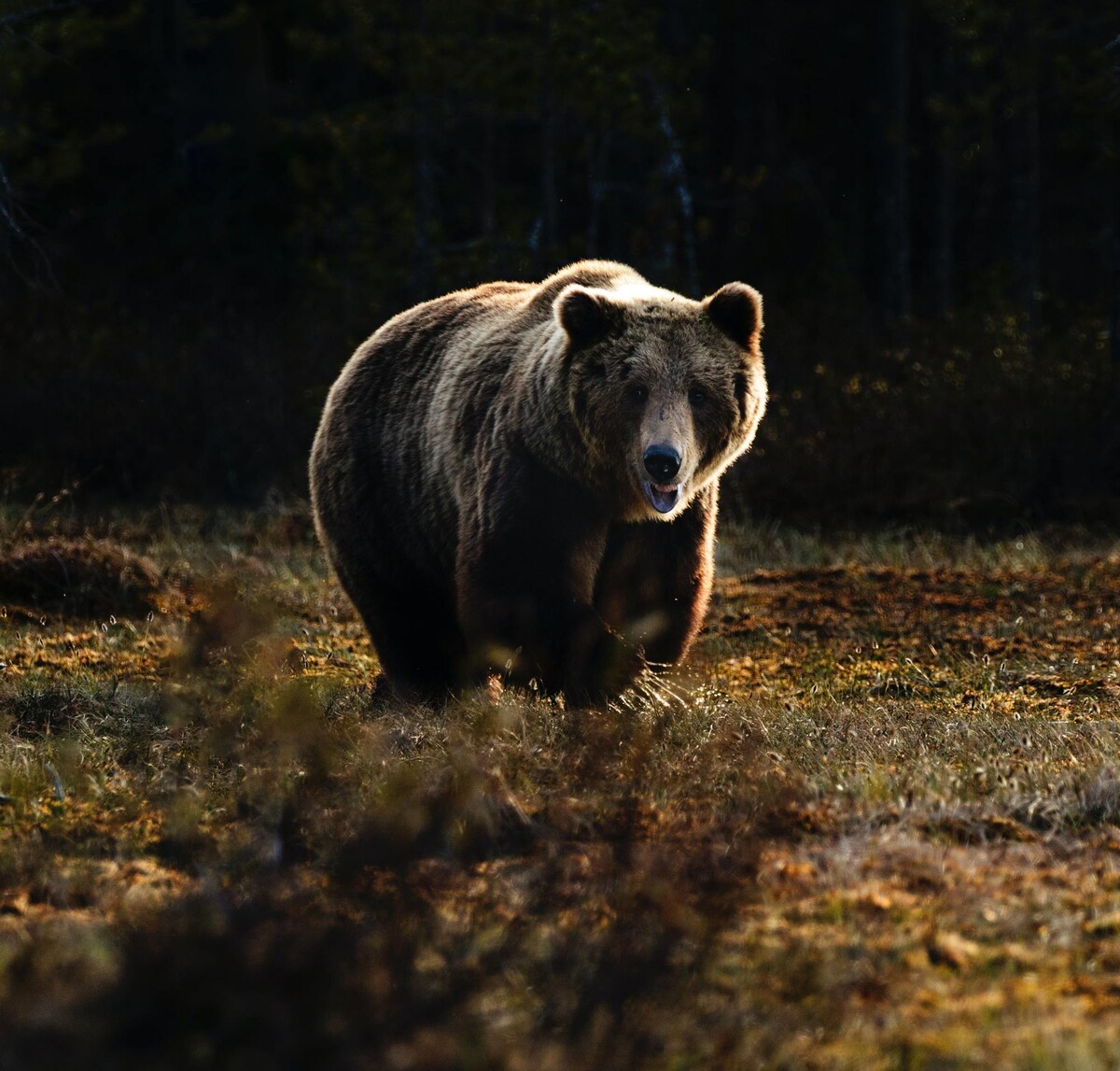 Ilustračná fotografia.