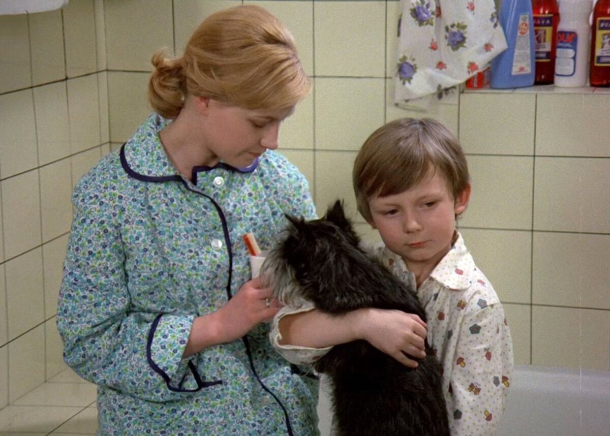 jak vytrhnout velrybe stolicku