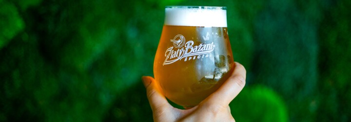 Pivný slovník: Zorientuj sa v pivných výrazoch a objednávaj pivo ako profík
