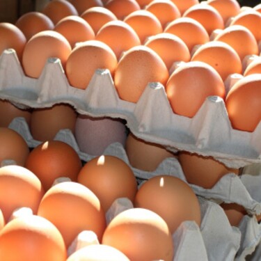 Urči správnu priemernú cenu 10 kusov vajíčok veľkosti M
