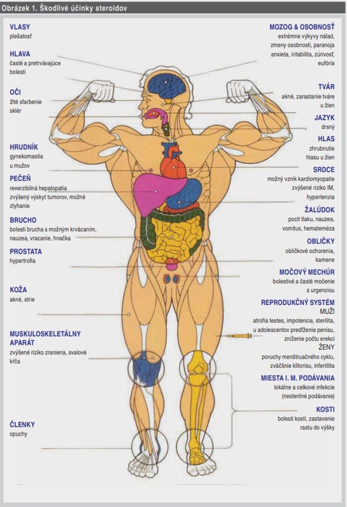 negatívne účinky steroidov