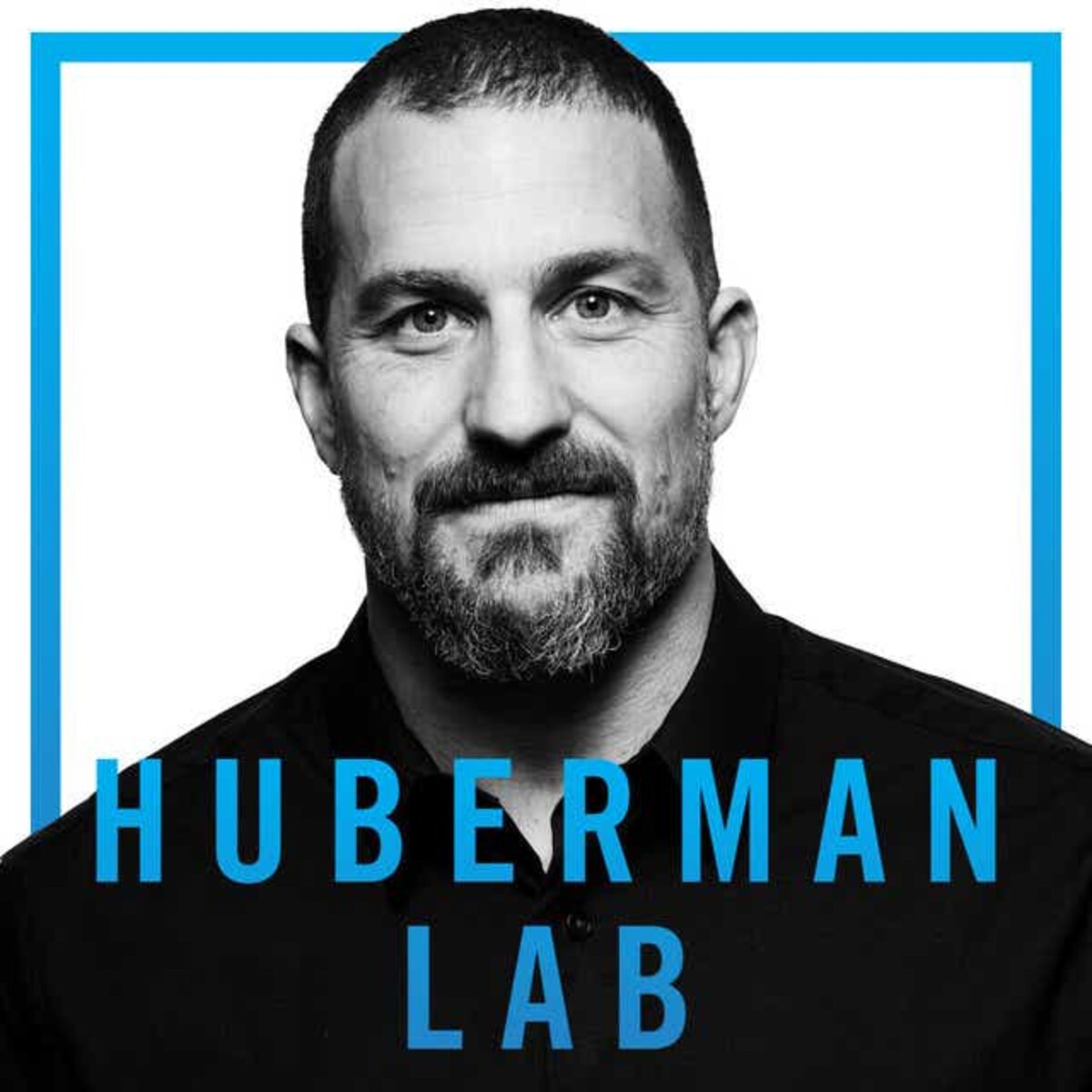 Podcast Huberman Lab.