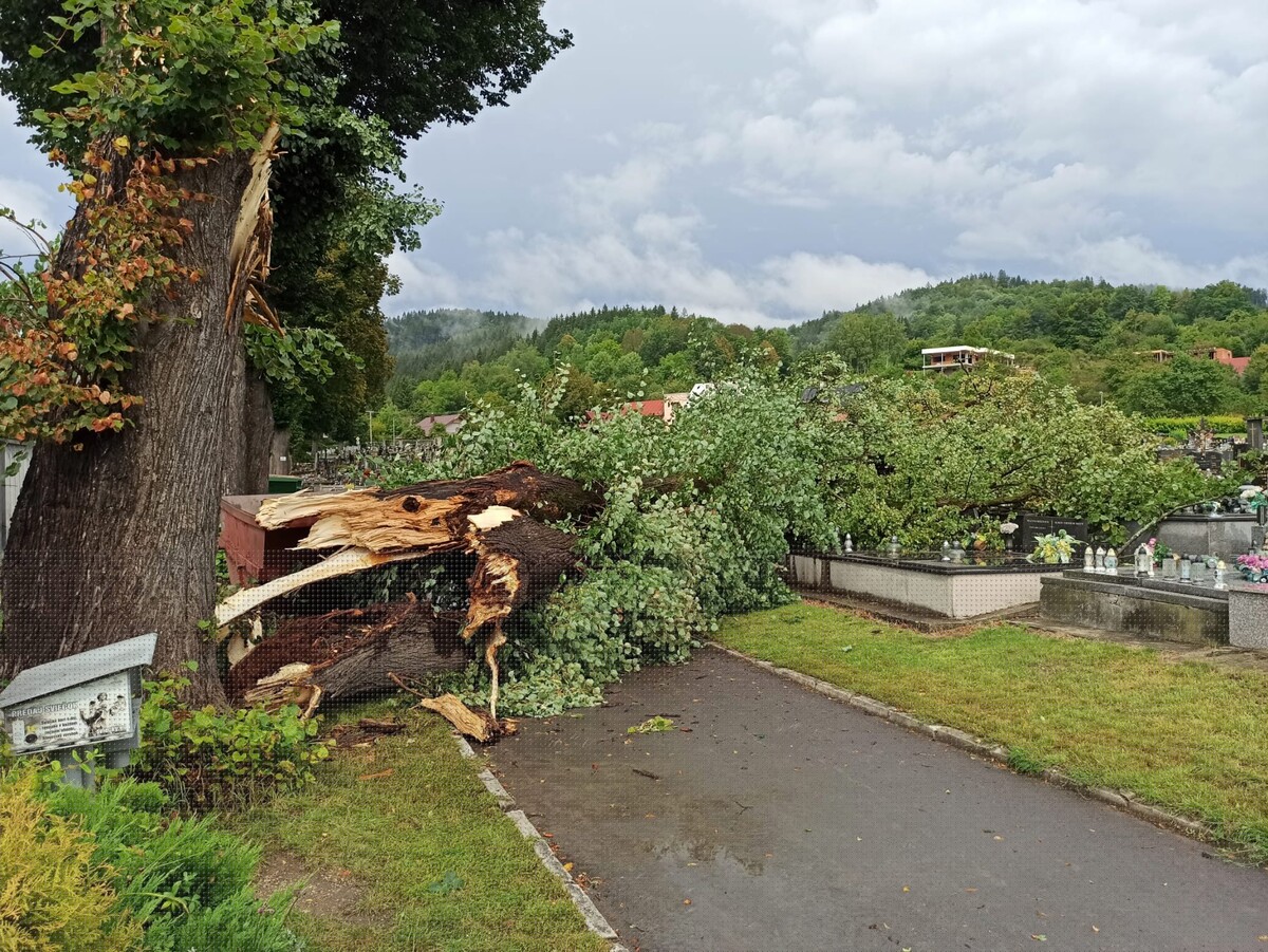 Dolámané stromy, ktoré skončili na chodníku na cintoríne v obci Veľké Rovné, okres Bytča, v sobotu 26. augusta 2023.