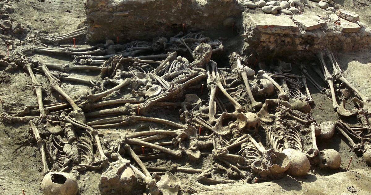 Počet obětí sekty v Keni se vyšplhal na 200 lidí, více než 600 osob se stále pohřešuje