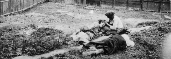 Poslanci uznali hladomor na Ukrajině, organizovaný stalinistickým režimem, za genocidu