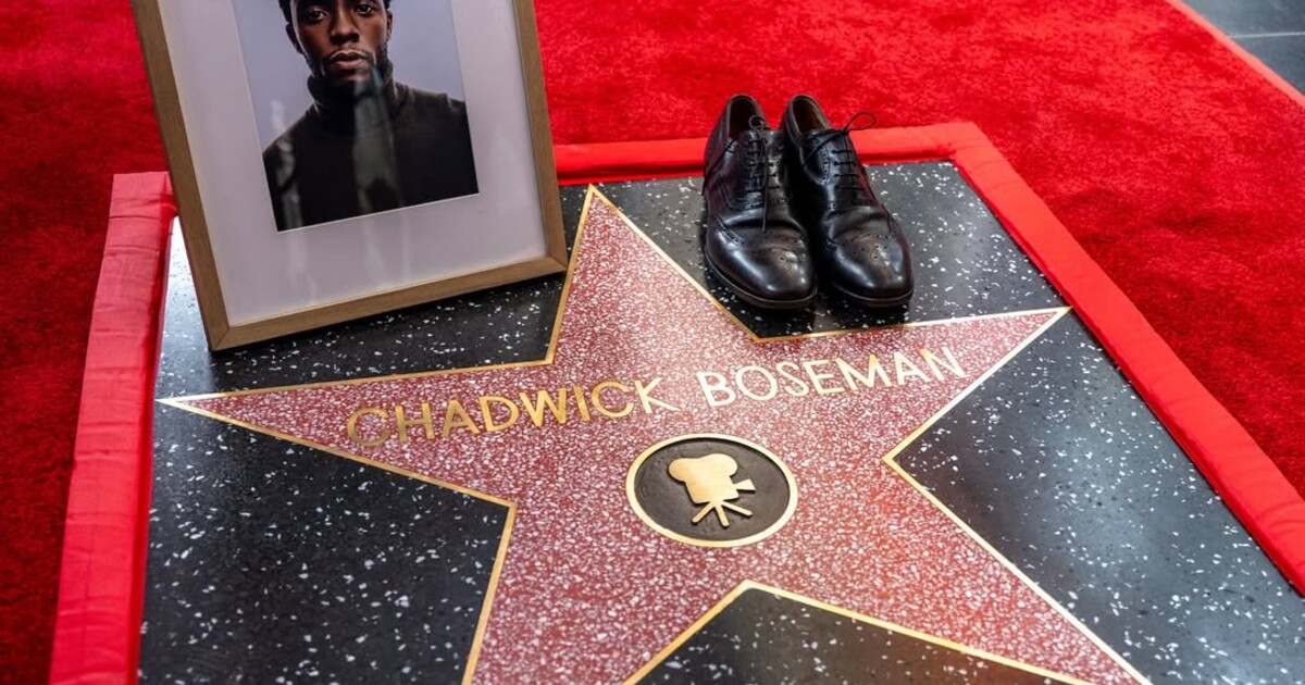 Zesnulý představitel Black Panthera obdržel hvězdu na hollywoodském chodníku slávy