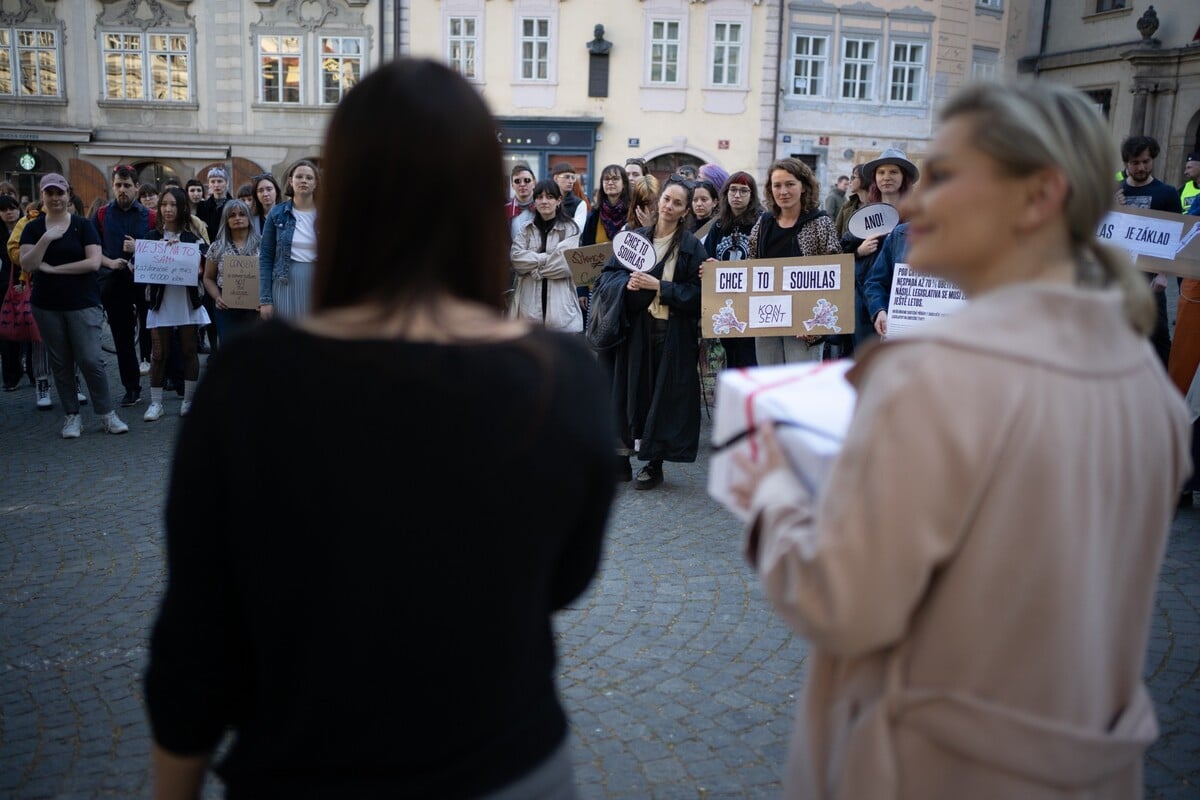 Předání petice za nápravu definice znásilnění před budovou Poslanecké sněmovny.