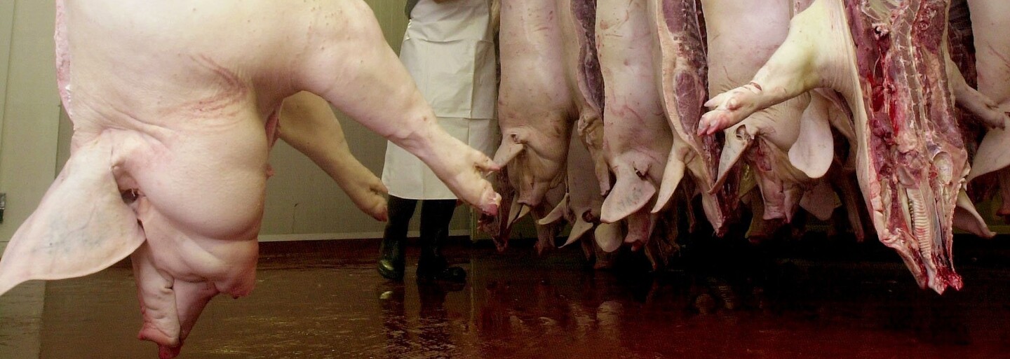 20 firem věnujících se chovu zvířat a výrobě mléčných výrobků produkuje více skleníkových plynů než celé Německo či Francie