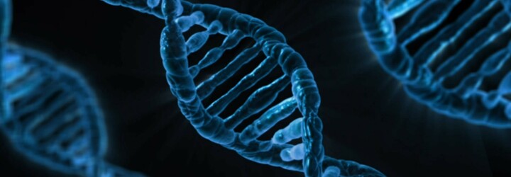Muž se sám geneticky upravuje. Svou DNA mění tak, aby měl svalnatější předloktí nebo přirozená tetování