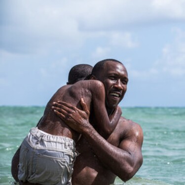 Kedy na Slovensku premiéroval Moonlight?