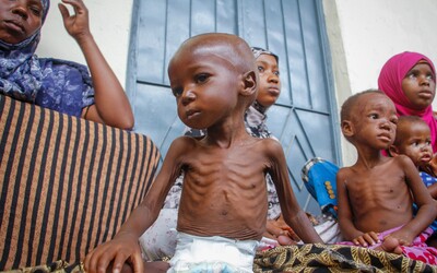 22 milionů obyvatel Afrického rohu je ohroženo hladomorem. Mnozí jsou z oblasti nuceni emigrovat