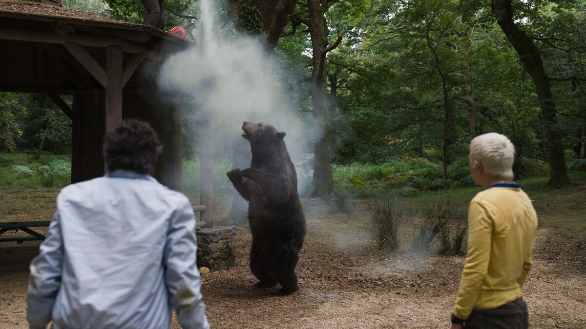 Medvěd na koksu, cocaine bear