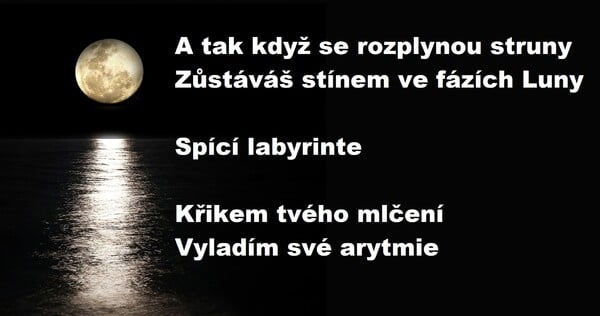 Křikem tvého mlčení vyladím své arytmie.