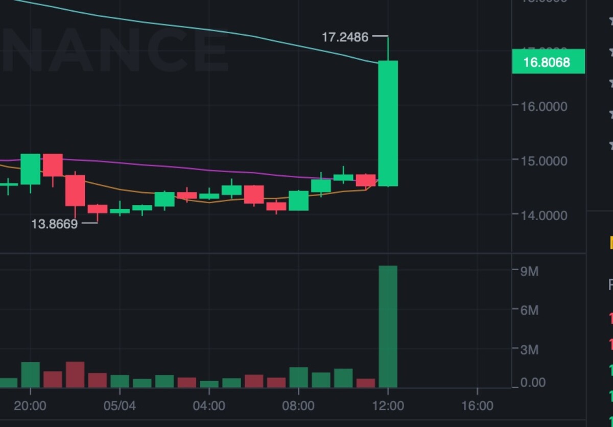 Hodnota Ape tokenu prudko vzrástla. 