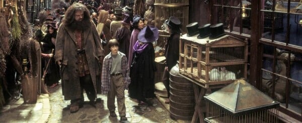 Hagrid patrí medzi najlepších priateľov Harryho Pottera. Spomínaš si, čo mu kúpil na jeho jedenáste narodeniny?