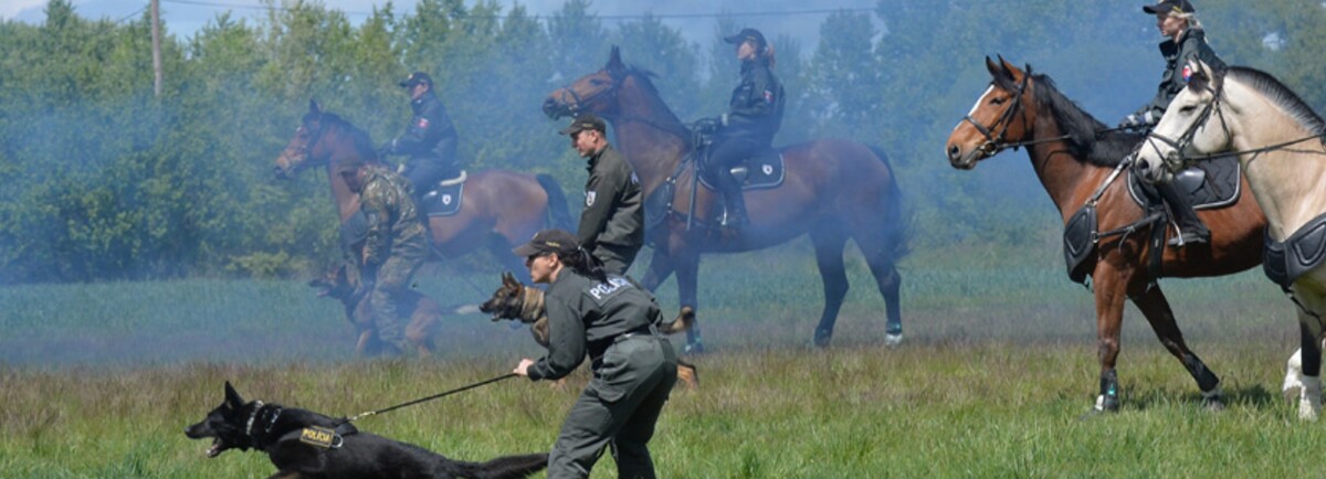 polícia 