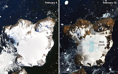 Podívej se, jak vypadá Antarktida po rekordním teple na začátku února.