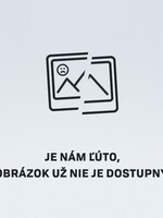 23-ročný američan vyhral pokrový turnaj a odniesol si 8,4 milióna dolárov