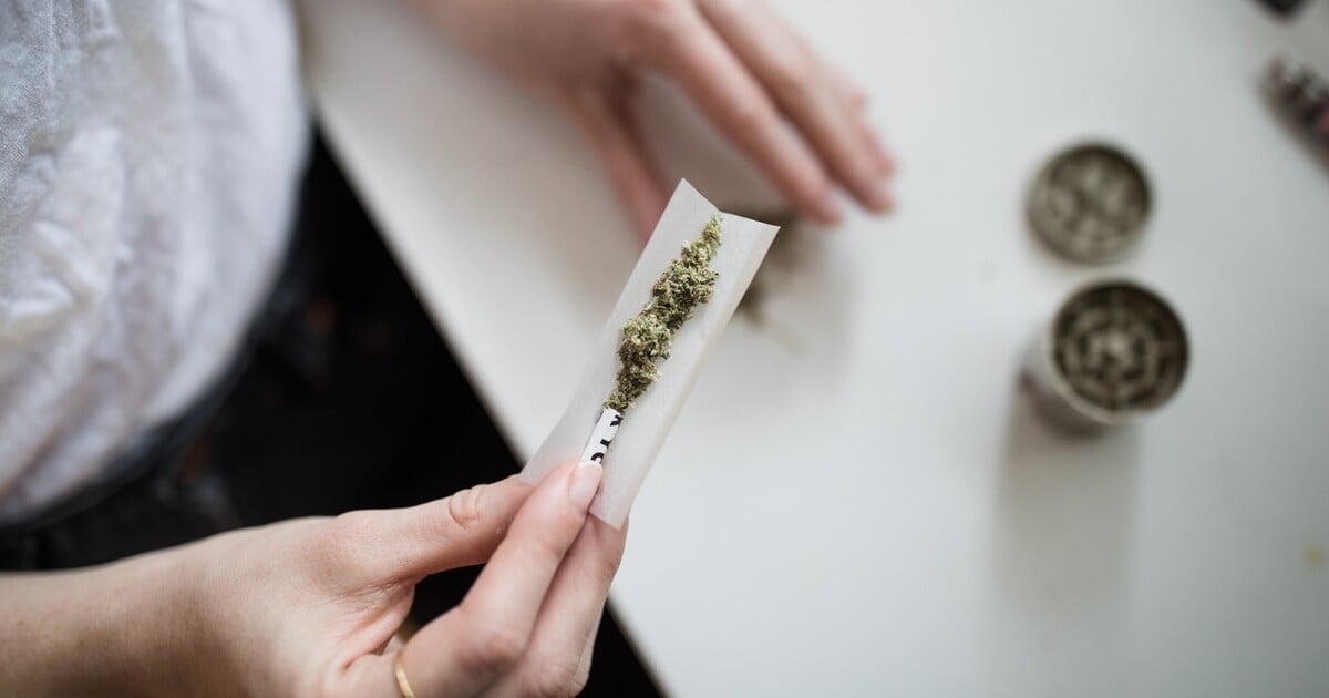 Děti na Karlovarsku se otrávily technickým konopím. Policie v něm našla zakázanou nebezpečnou látku