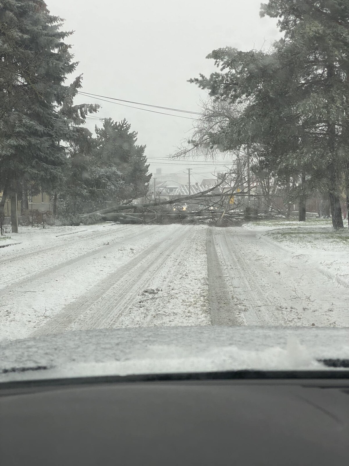 Križovatka smer centrum Sečovce – Nový Ruskov je podľa vodiča Pavla neprejazdná. Situáciu skomplikoval spadnutý strom.