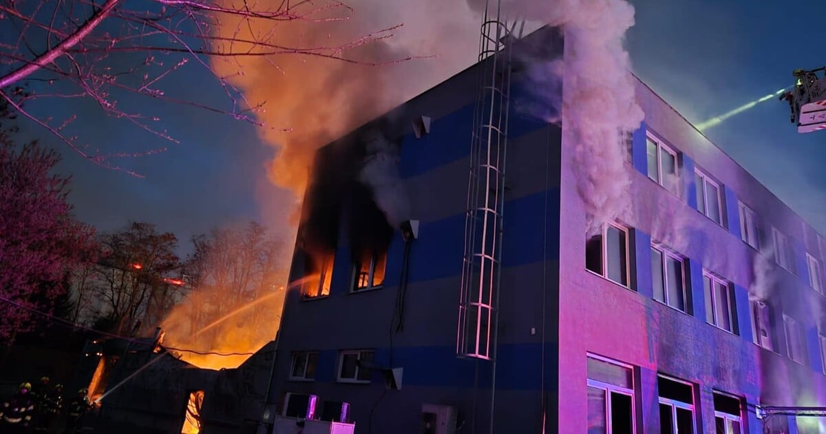 Slovenská policie vydala do Česka osobu podezřelou z útoku v Pardubicích