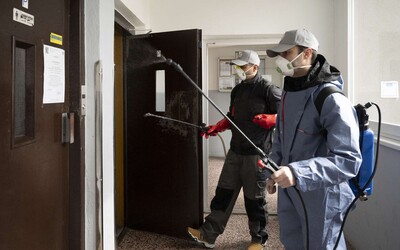 Nitru zamoril zapáchajúci hmyz. Bzdochy sú všade, nemôžeme ani otvoriť okná, sťažujú sa miestni.