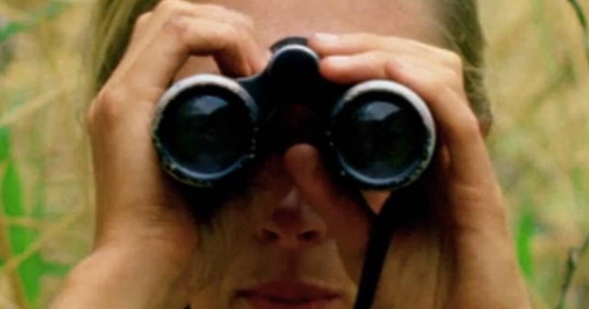 Dokázala, že rozum nemá pouze člověk. Ve věku 91 let zemřela známá bioložka Jane Goodall