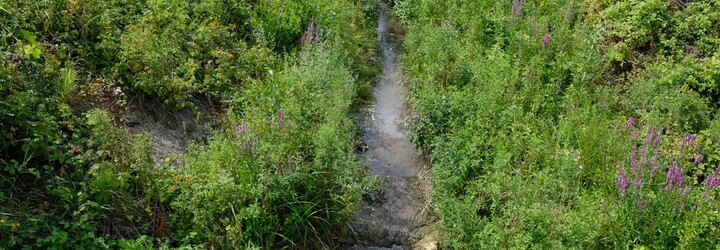 V obci Chocholná-Velčice zakázal starosta obyvateľom čerpať vodu z potoka. Bývalej žene poradil, aby ju radšej čerpala v noci
