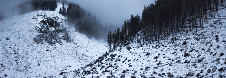 Nízke Tatry sa menia na gigantické rúbanisko. Slovenka vyrobila ironické pohľadnice ukazujúce odvrátenú tvár Jasnej