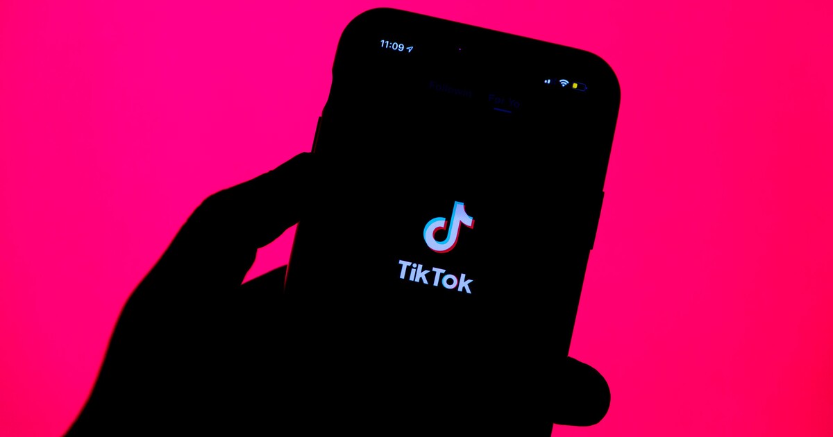Aplikace TikTok představuje bezpečnostní hrozbu, varoval český Národní úřad pro kybernetickou a informační bezpečnost