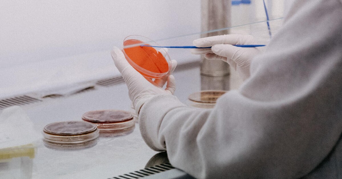 Uklízeč vypnul mrazák v laborce, protože pípal. Zničil pětadvacetiletý výzkum za 21 milionů korun