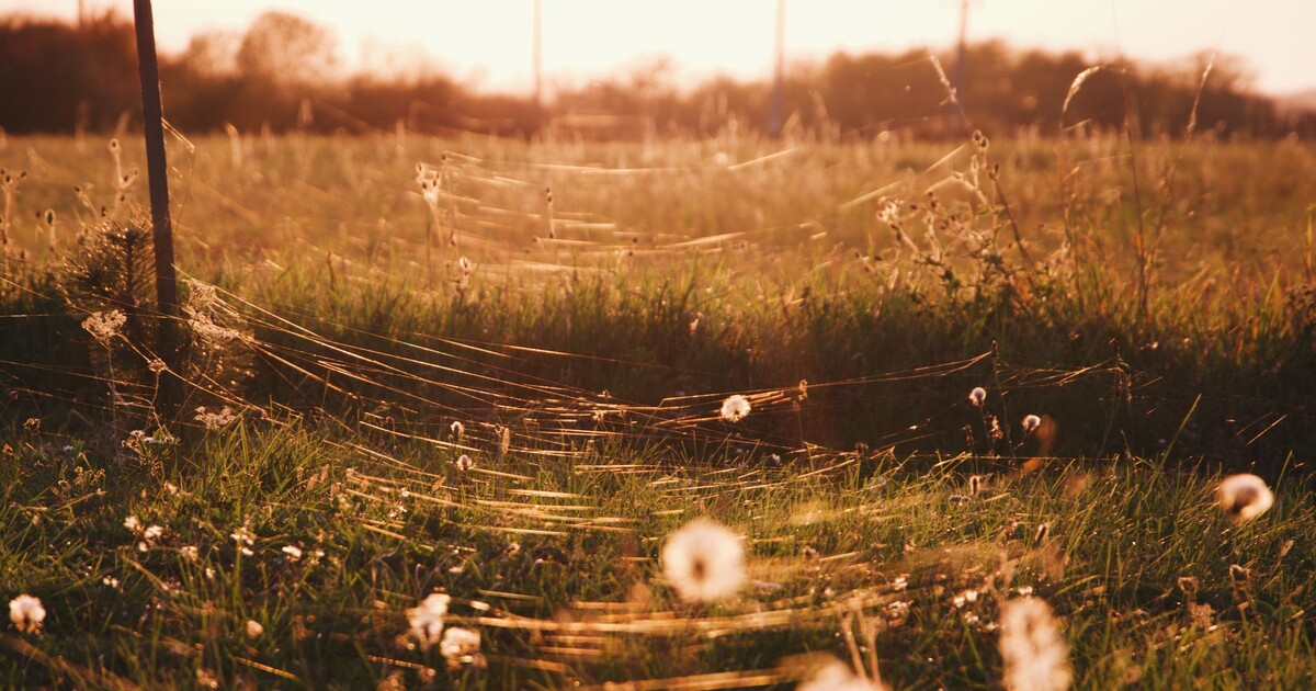 Meteorologové mají novou předpověď na září. Čeká nás prodloužené léto