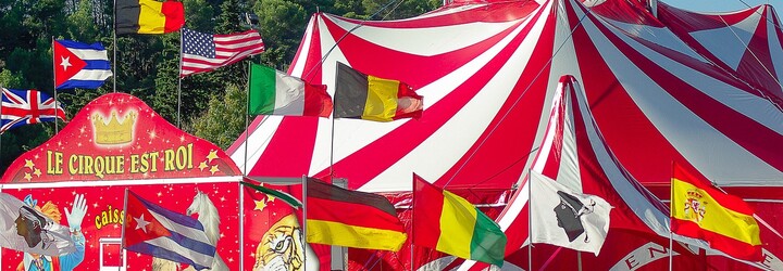 Konec týrání zvířat v českých cirkusech? Ministerstvo navrhlo úplný zákaz jejich vystavování a drezury