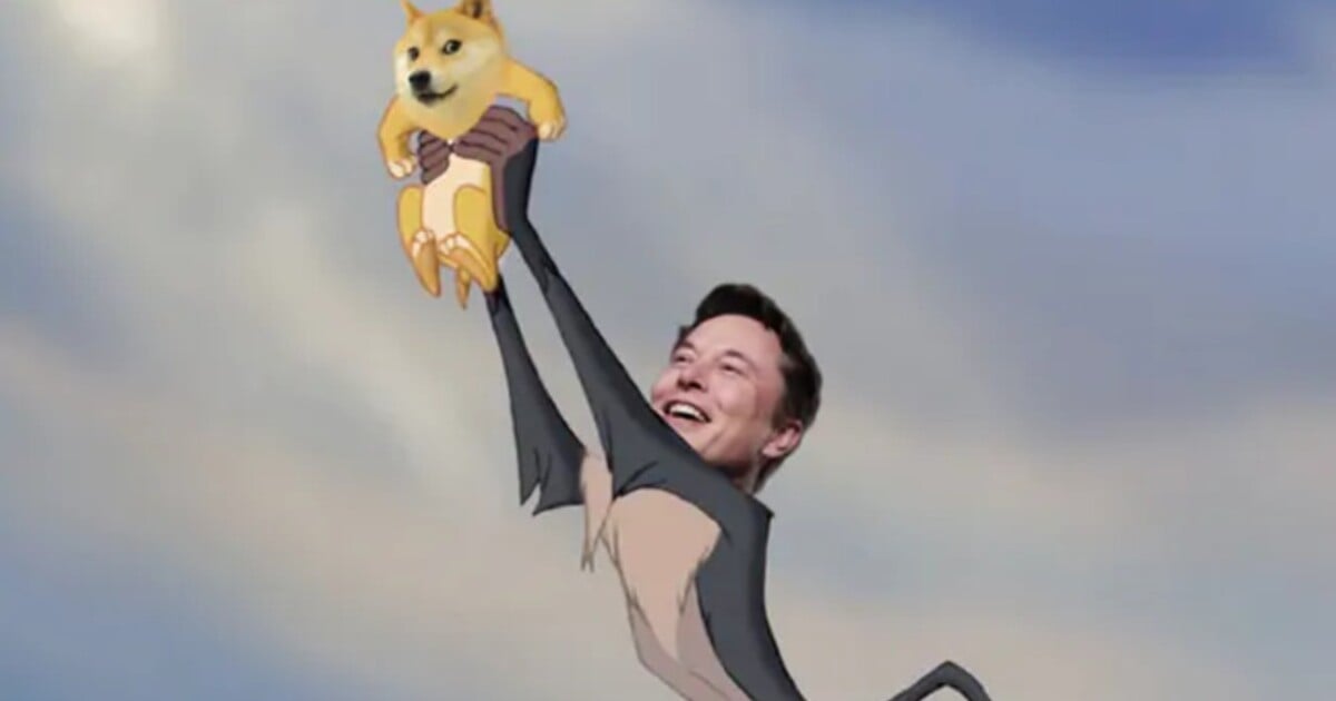 Vybrali jsme 10 nejhorších memes, které sdílel Elon Musk