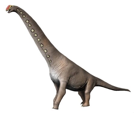 Byl až 26 metrů dlouhý, 13 metrů vysoký a ve filmu Jurský park byl největším dinosaurem. Jeho název je: 