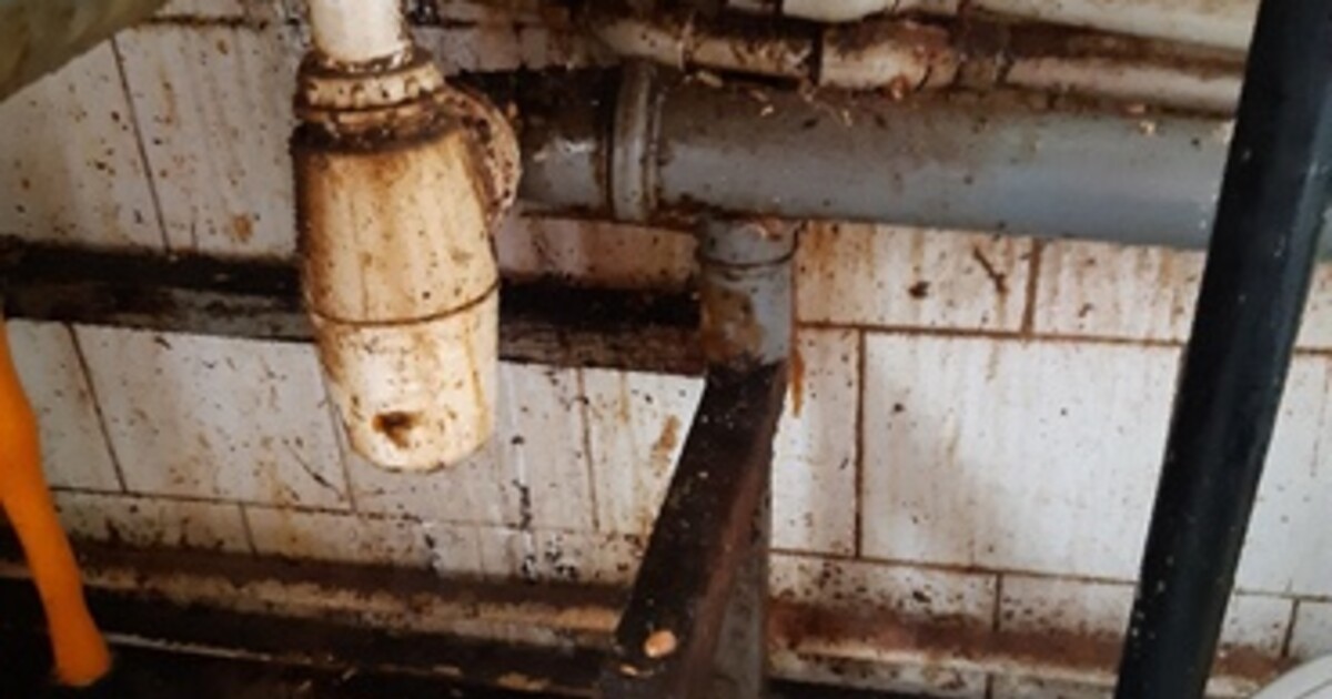 Vajgly v přípravně zeleniny, olej vedle záchodové mísy. Podívej se, na jaký humus narazila hygiena v pražských restauracích