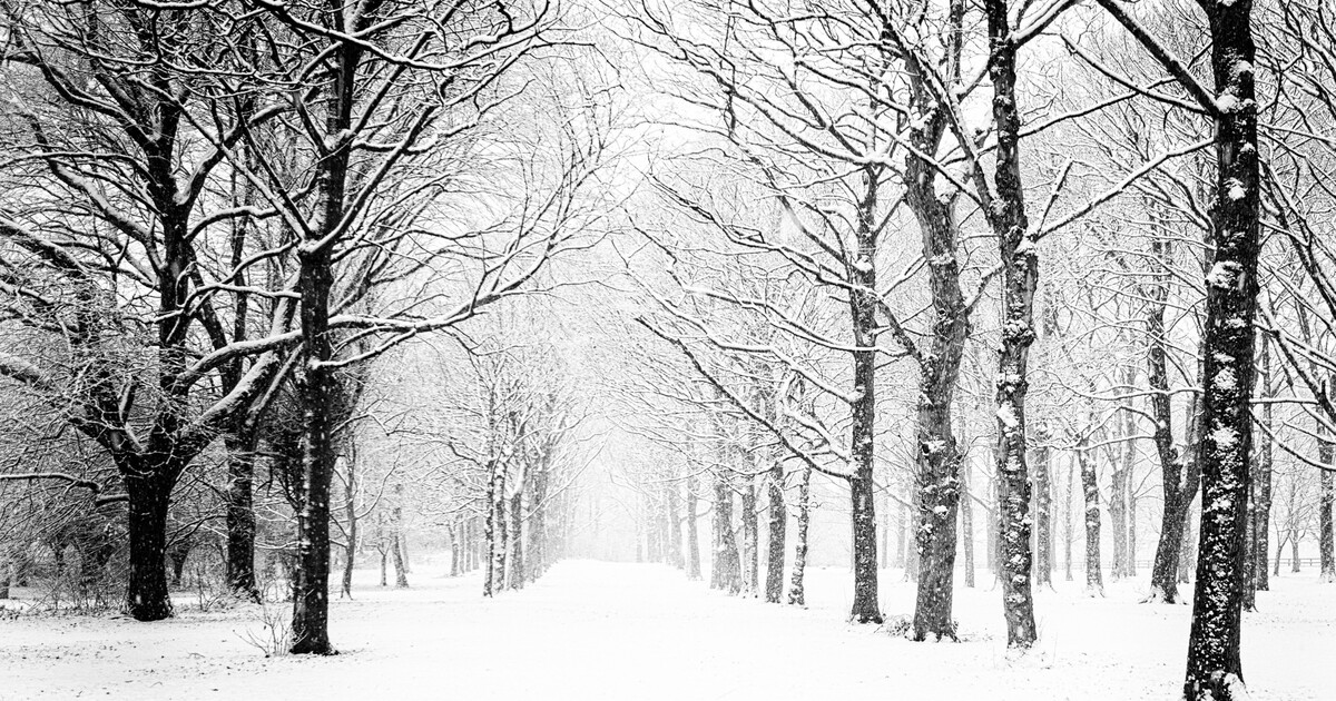 MAPA: Budou bílé Vánoce? Podívej se, kde by na Štědrý den mohlo sněžit