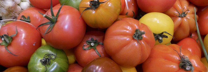 Velké srovnání českých online supermarketů: U koho se vyplatí nakupovat, jak řeší problémy s nákupem a kde mají největší výběr potravin?